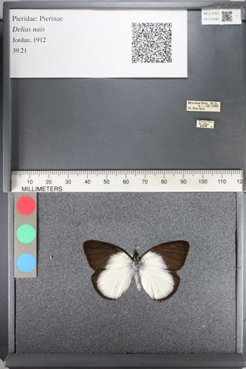 Media type: image;   Entomology 131680